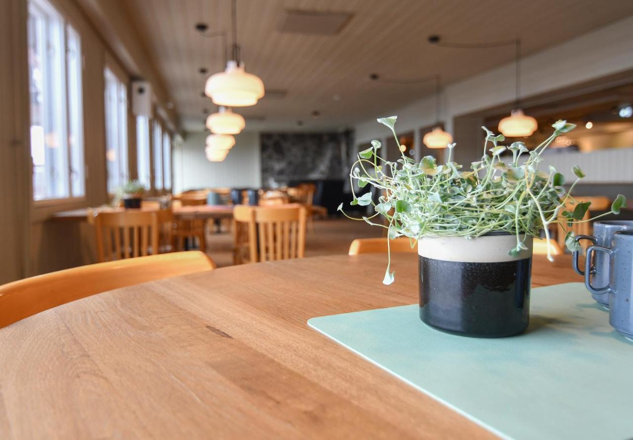 Kilpisjaerven Retkeilykeskus Rooms Kilpisjärvi Dış mekan fotoğraf